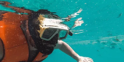 斯里蘭卡科倫坡探索潛水浮潛1小時通行證【港口城市浮潛】