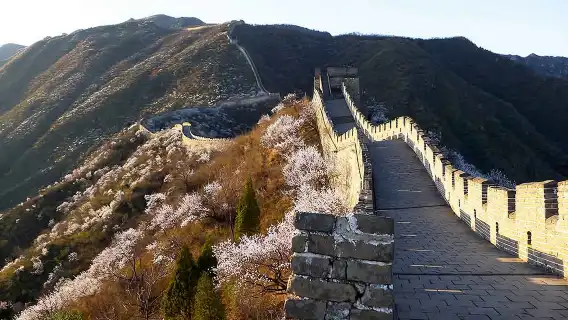 Beijing Mutianyu Great Wall 1-day tour[English Tour, guide buided commentary, Scheduled Meeting Point, Bird's Nest Exterior]