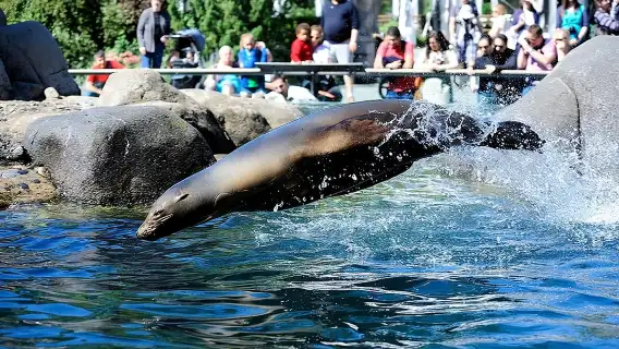 Central Park Zoo Admission Ticket with 4D Theater Access 