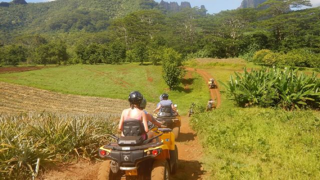 小型四輪摩托車之旅 2小時30分鐘 莫雷阿島四輪摩托車短途旅行（單人或雙人座）