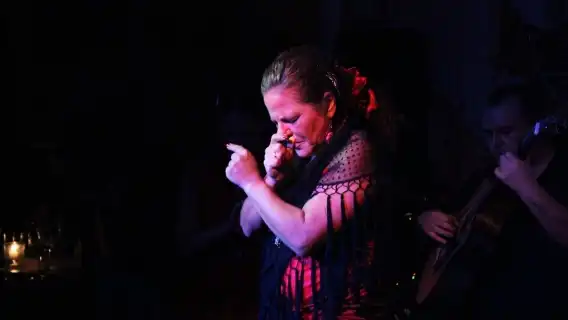 El Toro y la Luna Tablao Flamenco Show with Dinner and Drink