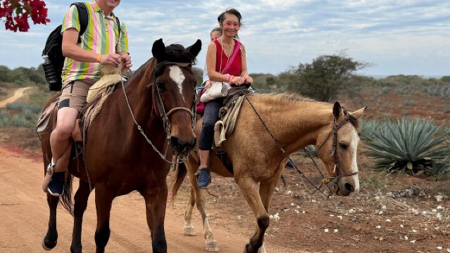 Horseback riding & Temazcal combo with lunch and mezcal tour