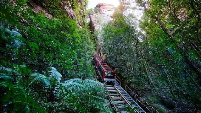 Blue Mountains Day Tour Including Parramatta River Cruise