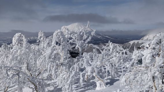 日本北海道洞爺湖-昭和新山-留壽都村【北海道中文專車】