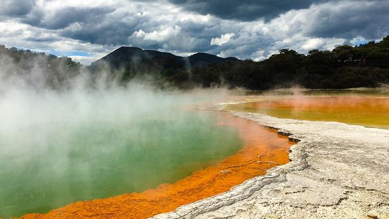 Tour di un giorno a Wai-O-Tapu e Te Puia con cultura Maori da Auckland in piccolo gruppo con trasporto di andata e ritorno