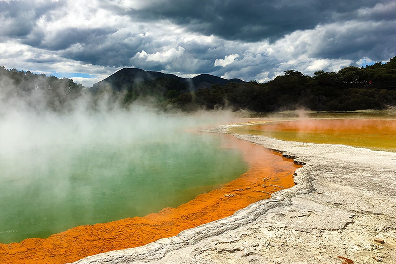 Tour di un giorno a Wai-O-Tapu e Te Puia con cultura Maori da Auckland in piccolo gruppo con trasporto di andata e ritorno