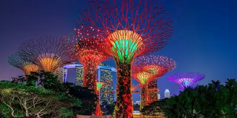 新加坡星空夜航郵輪、花園狂想曲及光之魅影表演