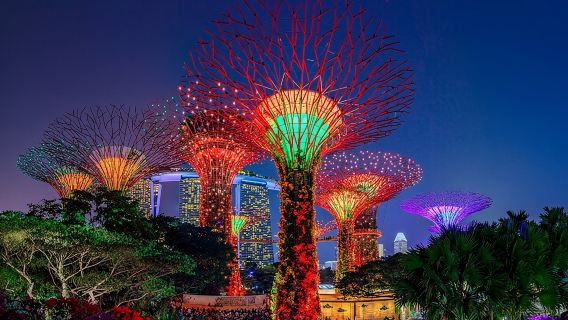 Singapore Starry Night Cruise, Garden Rhapsody, Spectra & Satay