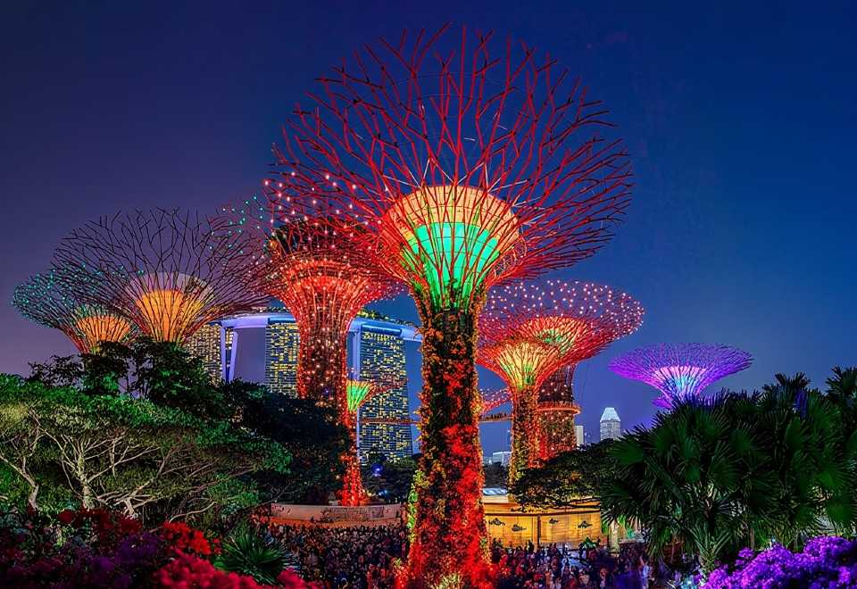 Singapore Starry Night Cruise, Garden Rhapsody & Spectra Show