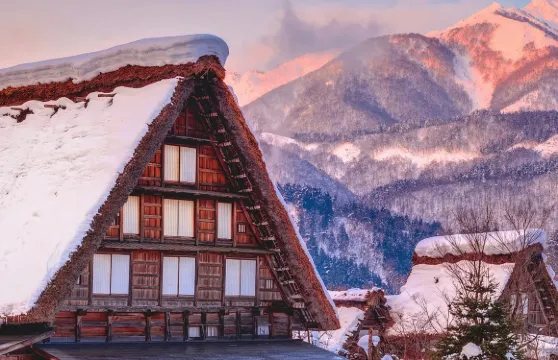 【9人小團可選】日本名古屋飛彈高地&白川鄉一日遊