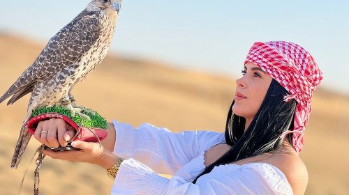 Abu Dhabi Desert Safari: Activities, Live Shows & VIP Area Dining Day Tours 9