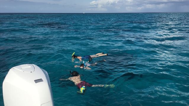 ทัวร์ส่วนตัวครึ่งวันที่สติงเรย์ซิตี้ ดำน้ำตื้น และหาดสตาร์ฟิช