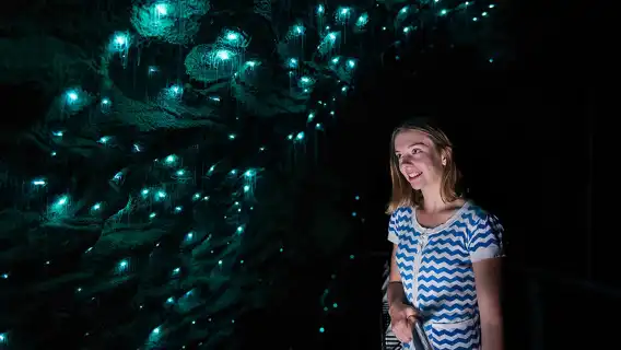 ทัวร์ 1 วันหมู่บ้านฮอบบิท+ถ้ำหิ่งห้อย นิวซีแลนด์ [บริการรับส่งในเมือง/ไกด์คนขับภาษาอังกฤษ-จีน]