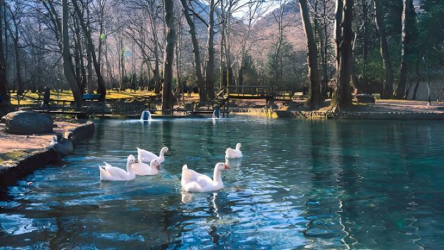 Uit Thessaloniki: Vergina, Agios Nikolaos en Edessa