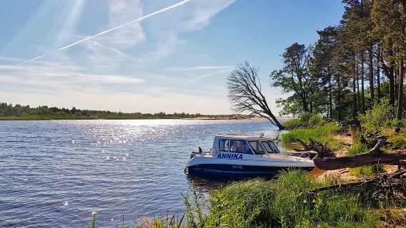 From Riga: Four Natural Ecosystems In One Hike