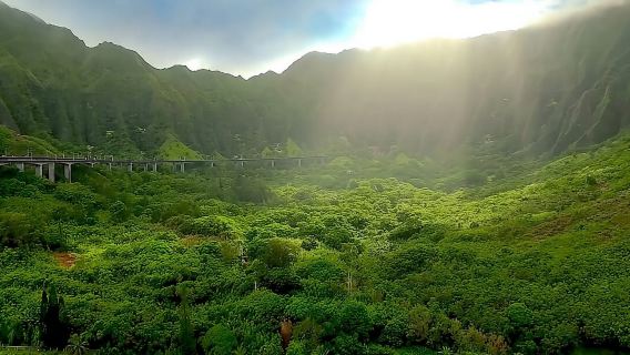 Oahu: Visita guiada a la costa norte y al jardín botánico de Waimea