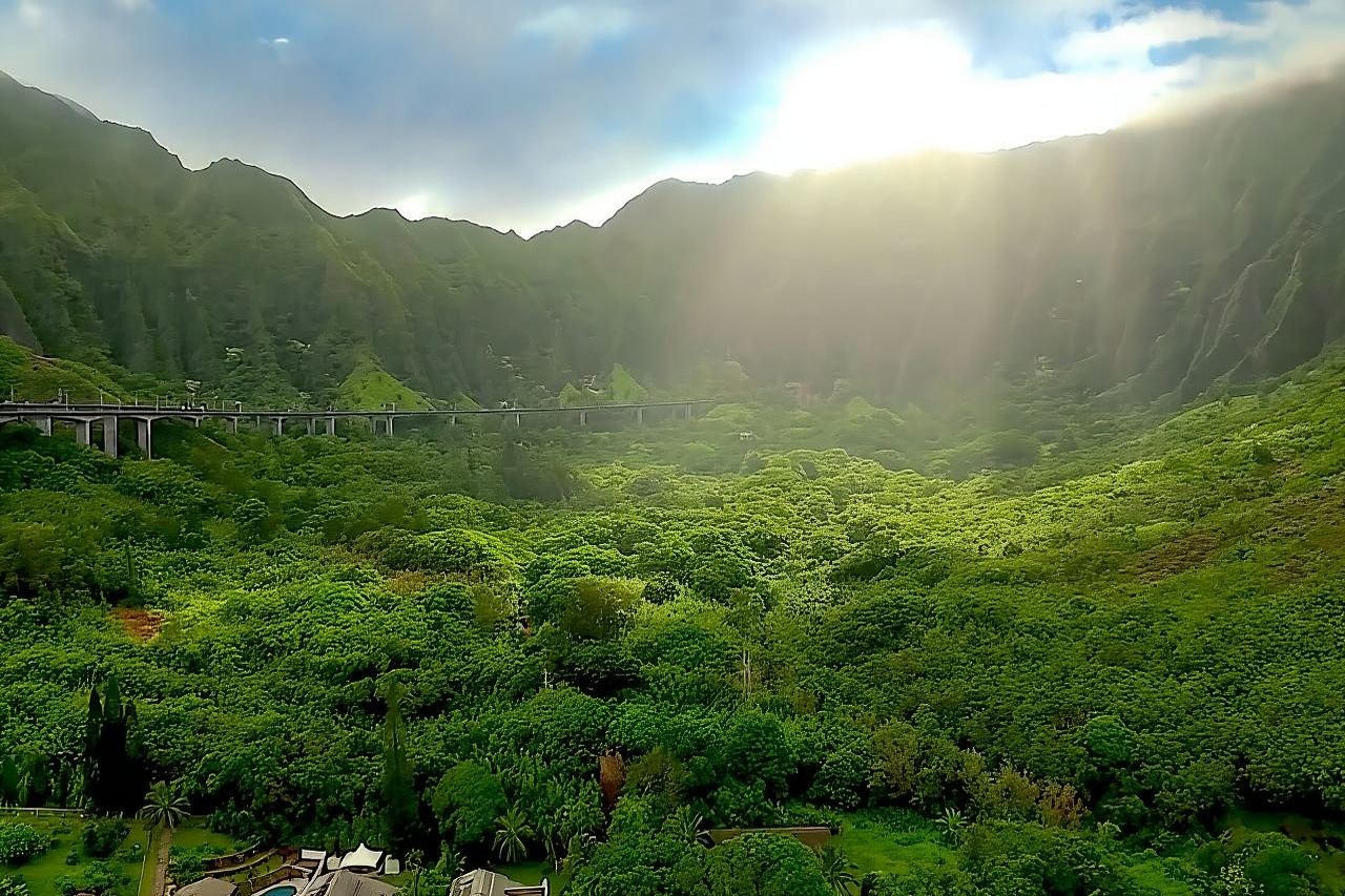 Oahu: Guided Tour of North Shore and Waimea Botanical Garden