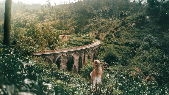 Nuwara Eliya: Ella & Little Adam's Peak All-Inclusive Tour