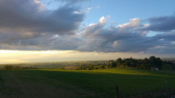 Dari Bologna: Mencicipi Wain dan Lawatan Ladang Anggur