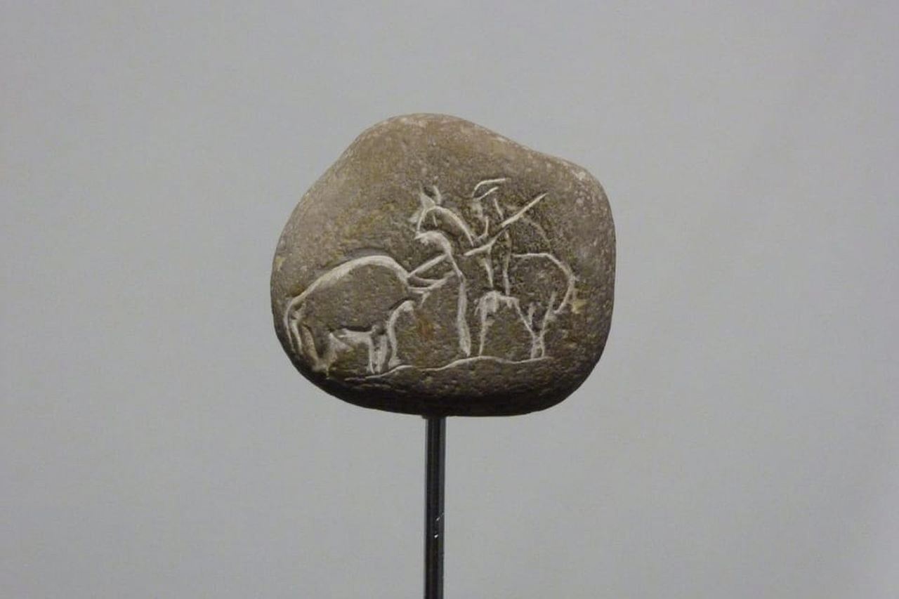 Desde Málaga o Costa del Sol: Mijas, Marbella y Puerto Banús