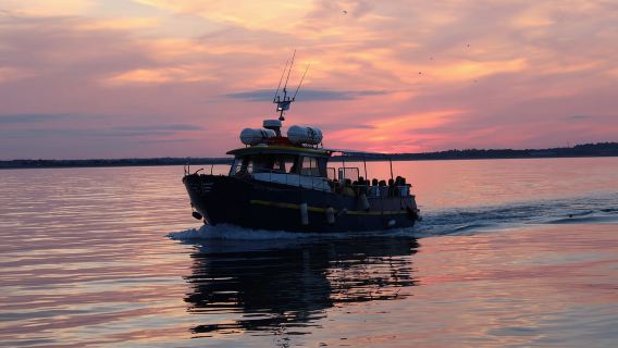 Dublin: Howth Cruise and Dine Experience