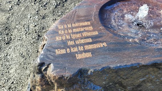 Incrocio di Tongariro: Ketetahi Park & Ride Trailhead Shuttle