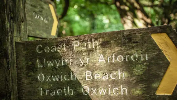 From Cardiff: Mumbles, Three Cliffs, Worms Head Gower Tour