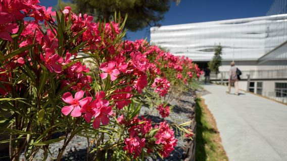Nîmes: Vé vào cửa miễn xếp hàng Musée de la Romanité