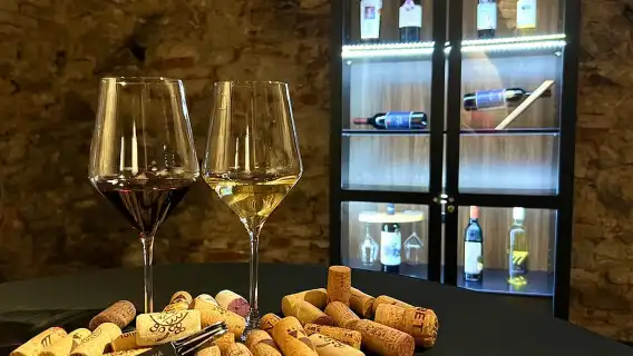 Bratislava: Wine Tasting Experience in the Dark