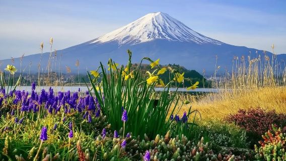 Tokyo|Torii Keamanan + Tasik Ashi (Ashinoko) + Hakone Ropeway + Lembah Owakudani|Perjalanan sewaan peribadi boleh disesuaikan