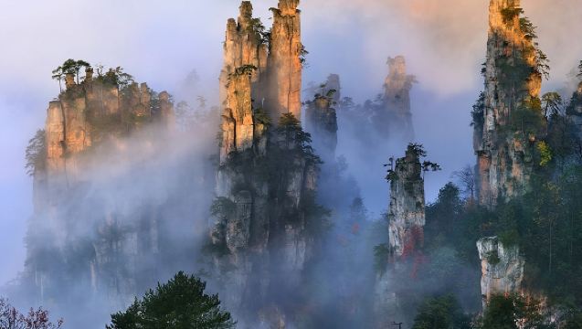 [Superaanbieding] Eendaagse tour Zhangjiajie Nationaal Bos Park (Avatar) - Ultieme prijs-kwaliteitverhouding