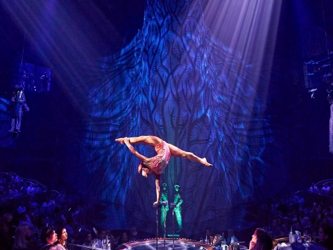Cirque du Soleil JOYÀ - with transfer