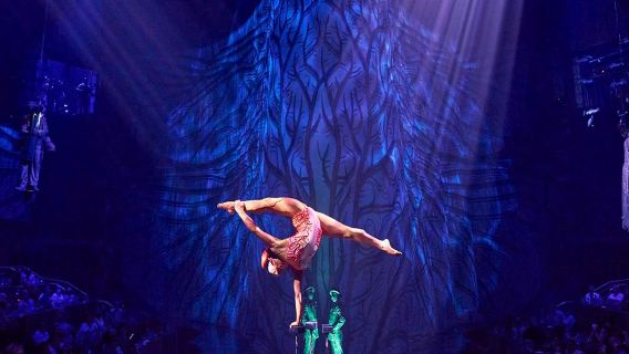 Cirque du Soleil JOYÀ - with transfer