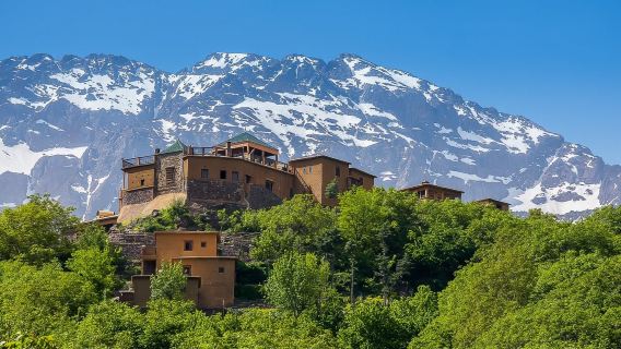 Middle Atlas Mountains Day Tour from Marrakech