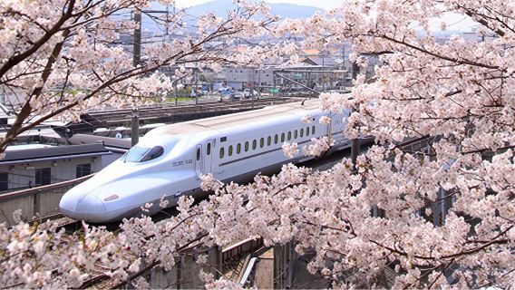 JR PASS Kansai WIDE Area Pass