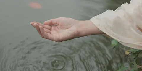 襄陽Trip Moments【婚禮跟拍 街拍 抓拍 航拍 攝影錄影/多語言翻譯/底片全送/動作指導】