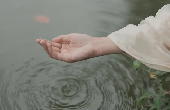 襄陽Trip Moments【婚禮跟拍 街拍 抓拍 航拍 攝影錄影/多語言翻譯/底片全送/動作指導】