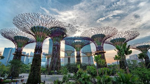 Private Singapore Night Tour with Gardens by the Bay&River Cruise