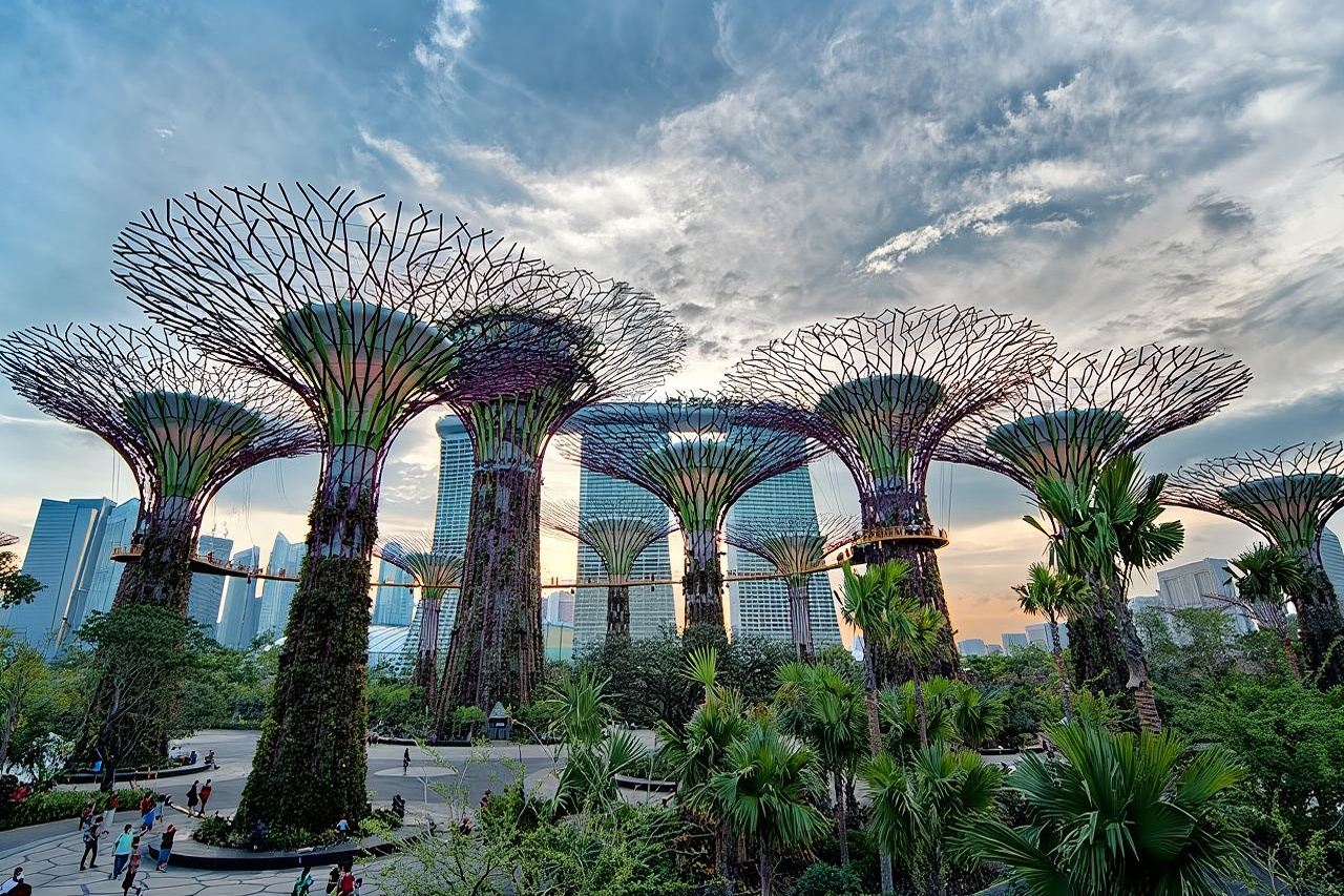 Private Singapore Night Tour with Gardens by the Bay&River Cruise