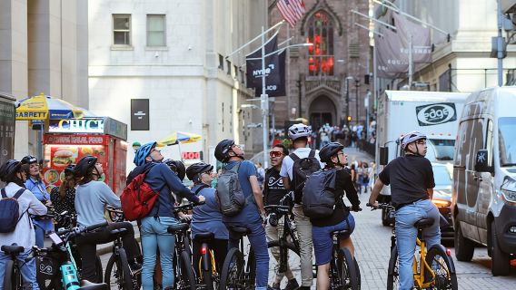 Highlights of New York City Guided Bike Tour (English or Dutch)