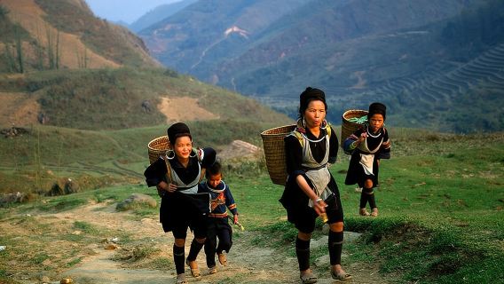 Sapa Private Car Tour - 1 Day Enjoy the Rice Terraced Fields