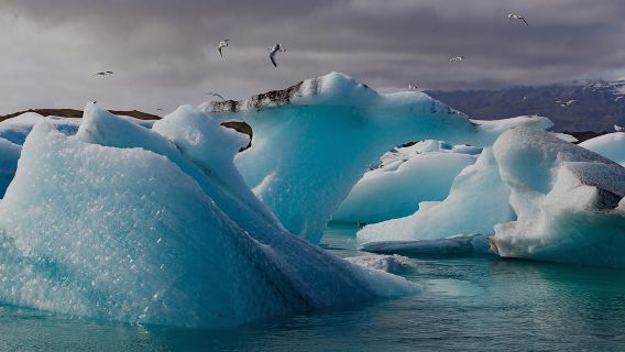 Iceland Tourist/Visiting relatives and friends/Business Visa(Application in MYS/SG/UK/HKSAR)