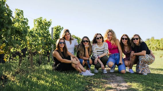 Afternoon wine tour to Saint-Emilion