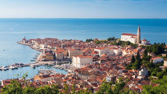 Slovenian coast tour with Pretor's palace from Ljubljana