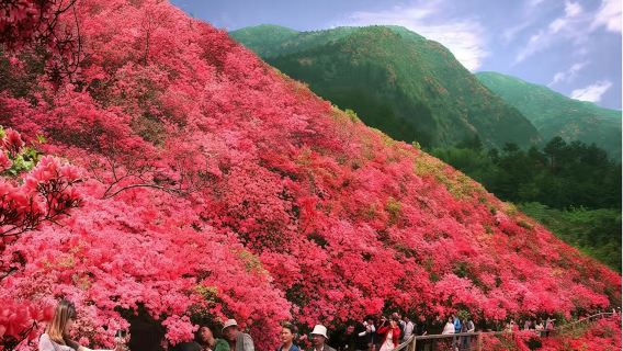 木蘭雲霧山一日遊【獨立包團/包車團家門口出發-7座商務車出遊】
