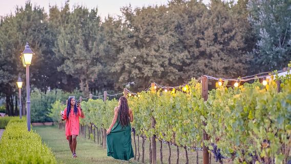 perjalanan satu hari ke kilang anggur Chianti di Italia, termasuk mencicipi anggur dan makan malam di kebun anggur.|Warna dan Rasa Tuscan