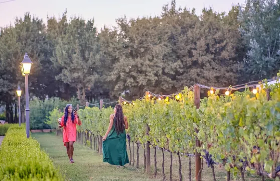 意大利基安蒂酒莊品酒+葡萄園晚餐一日遊|托斯卡納色彩與風味