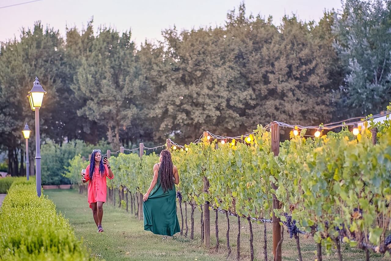 Chianti Winery Wine Tasting + Vineyard Dinner Day Tour in Italy|Tuscan Colors and Flavors