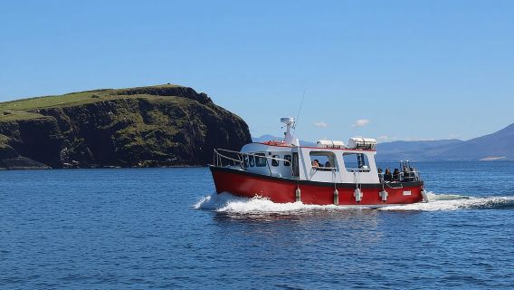 2-hour Guided Mini Eco Tour at Dingle, Ireland