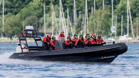 Excursión de 2 horas en lancha rápida por el archipiélago de Estocolmo